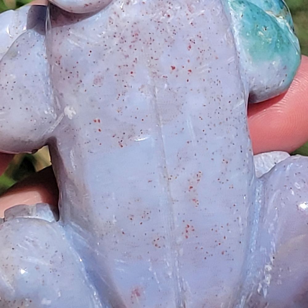 Ocean Jasper Frog - Picture 7 of 10